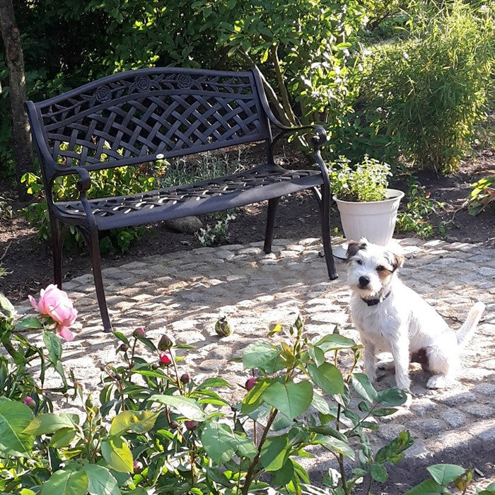 Banc Rose