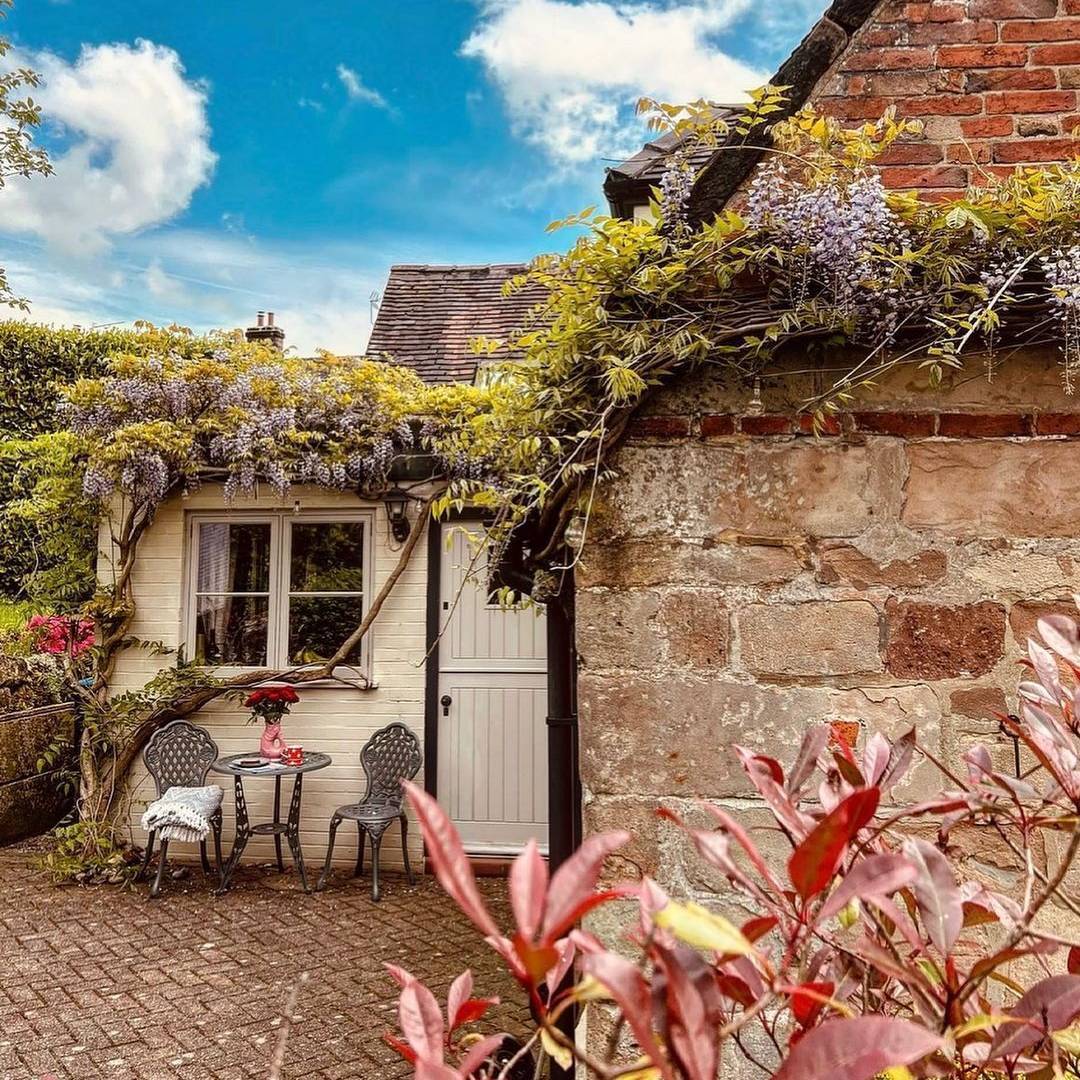 Ensemble bistrot Ivy (2 personnes)
