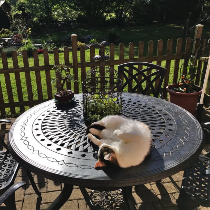 Table Amy (ensemble 6 personnes)