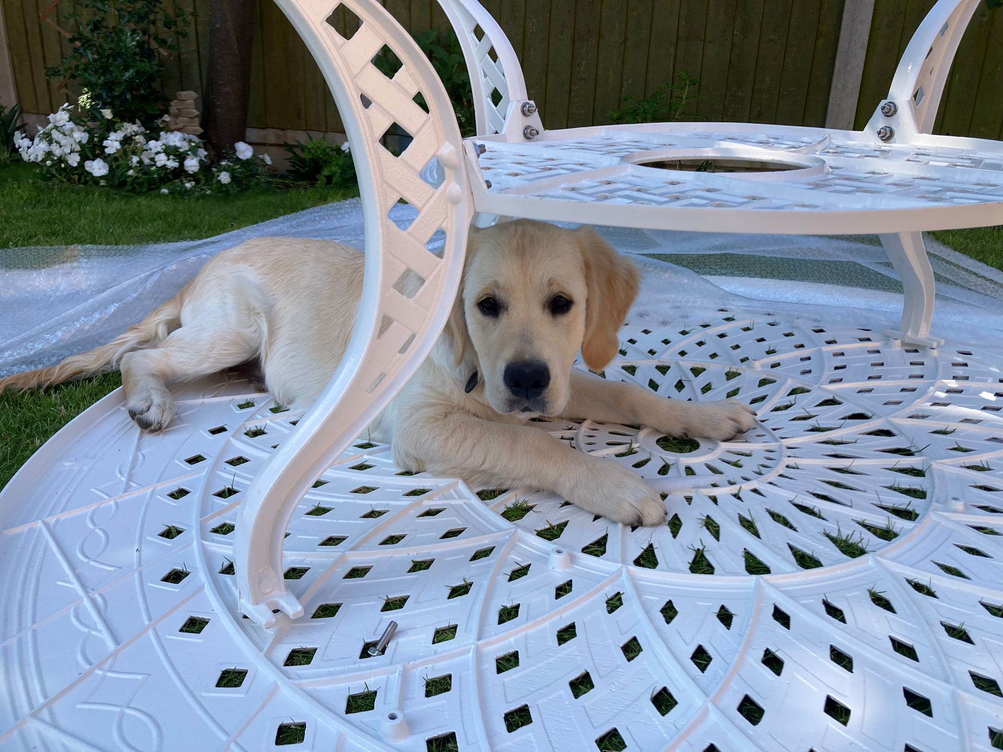 Table Amelia (ensemble 8 personnes)