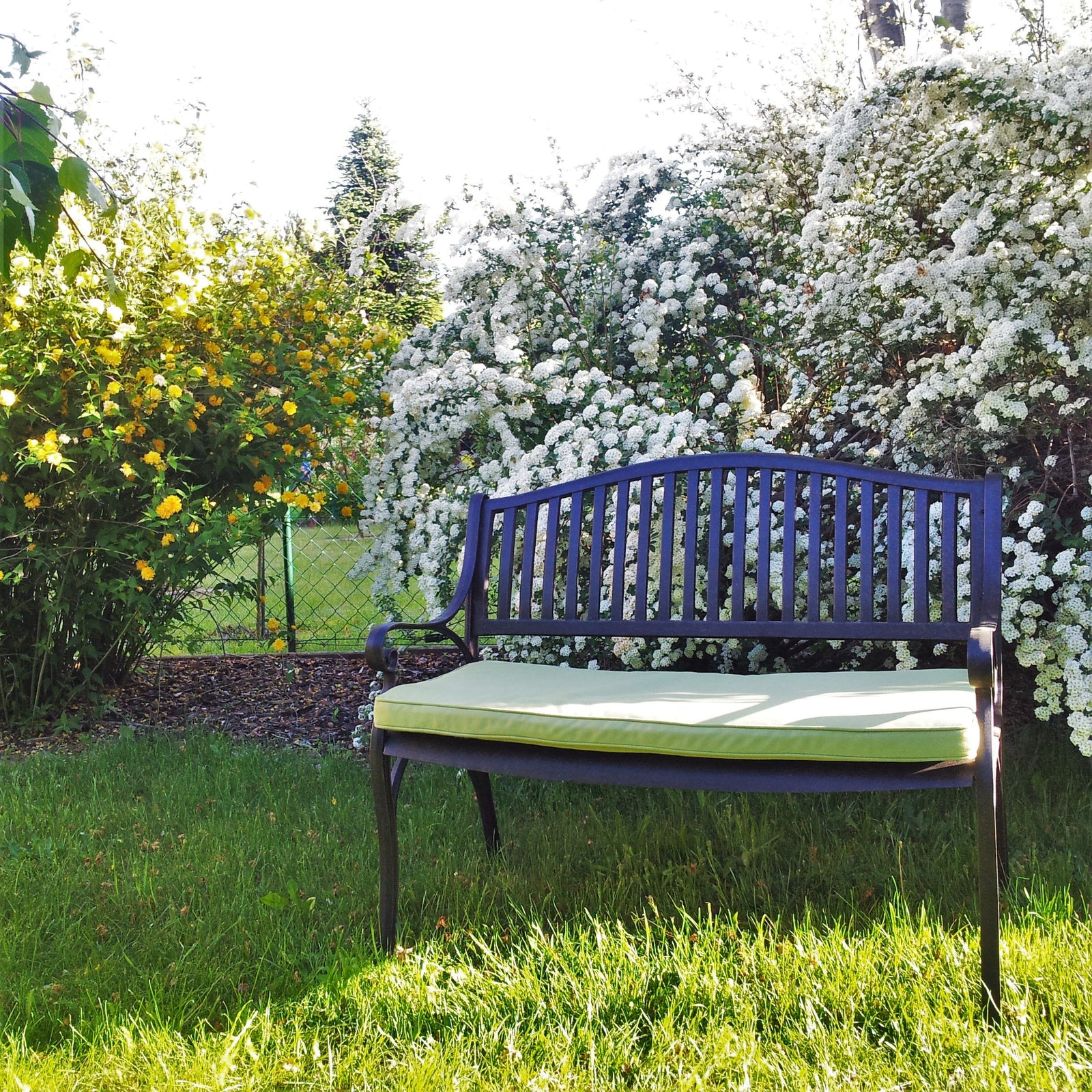 Banc Grace
