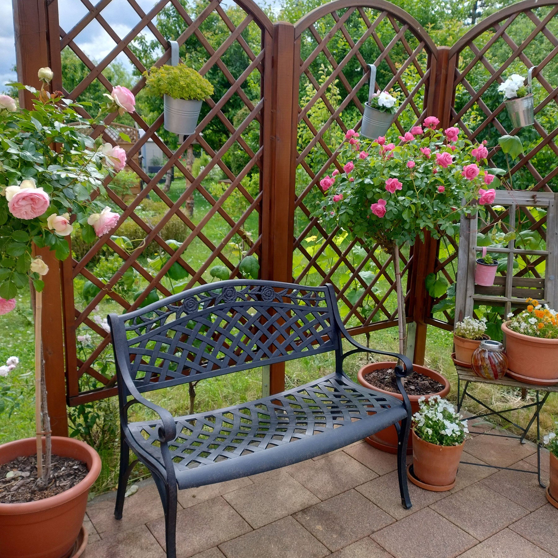 Banc Rose