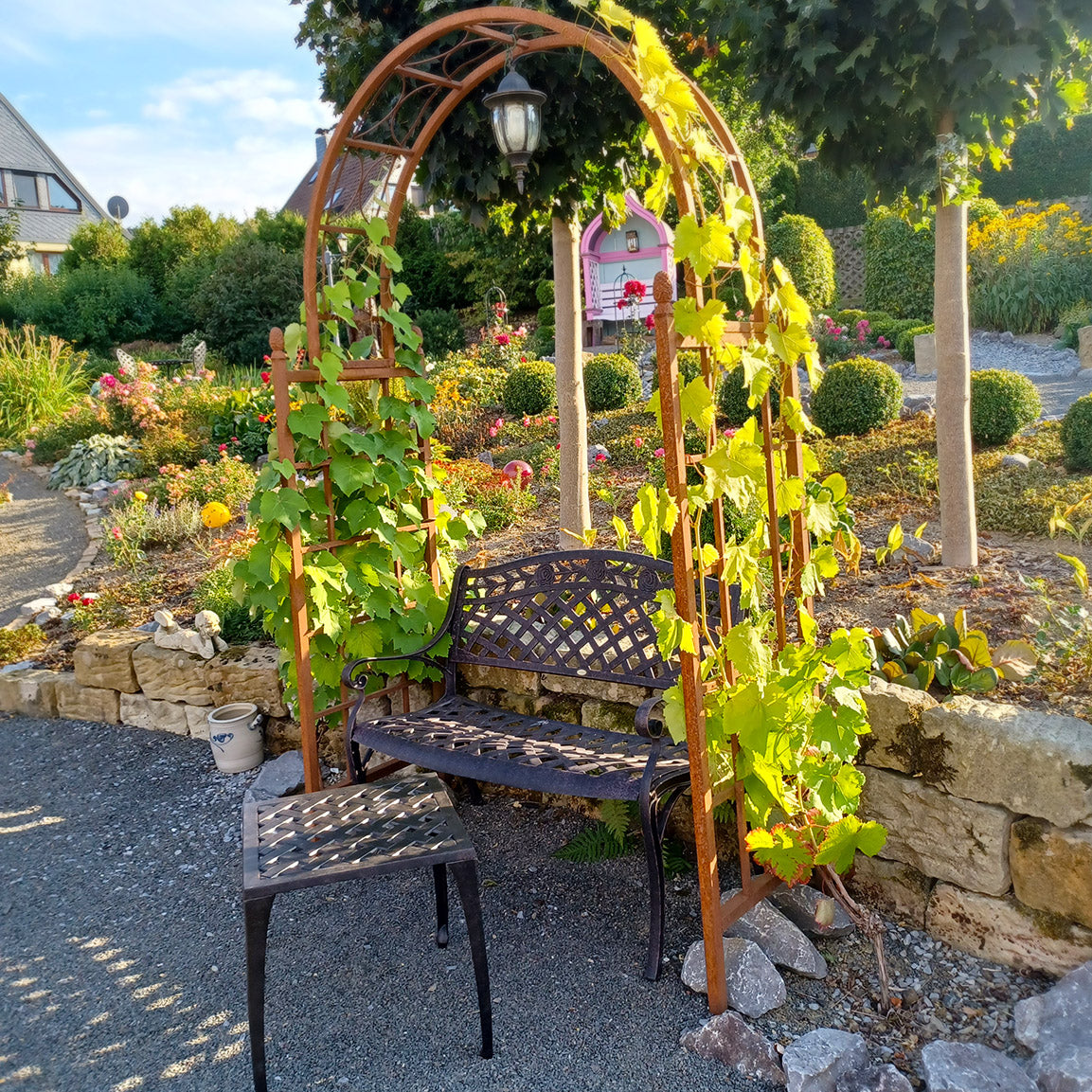 Banc Rose