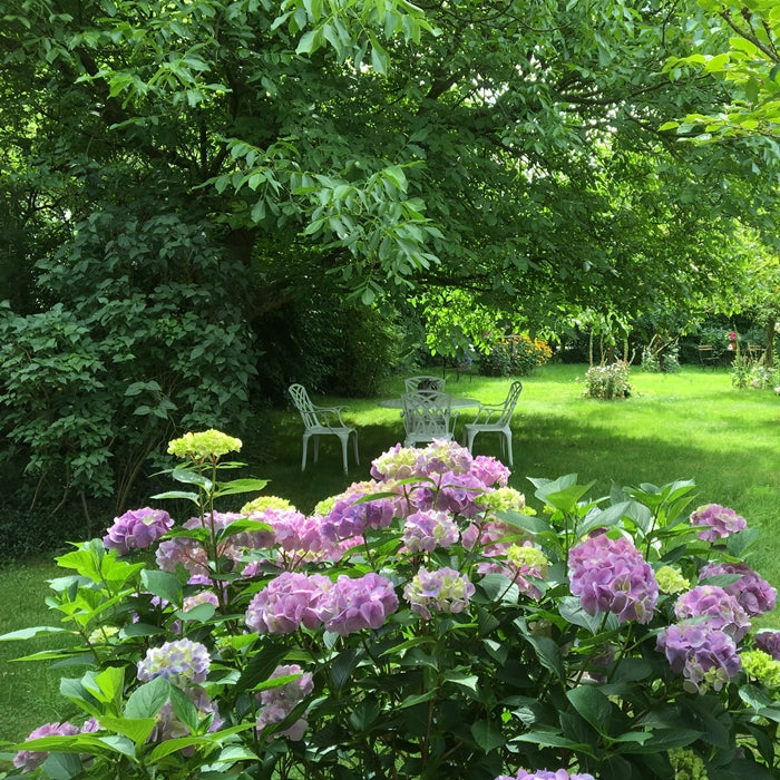 Table Lisa (ensemble 4 personnes)