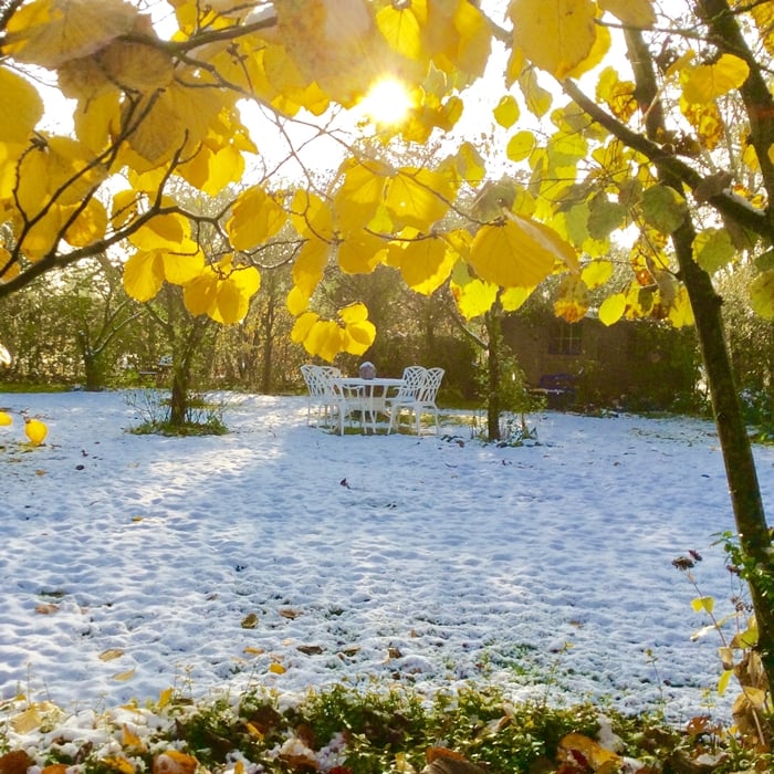 Table Lisa (ensemble 4 personnes)