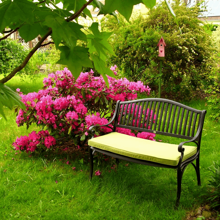 Banc Grace