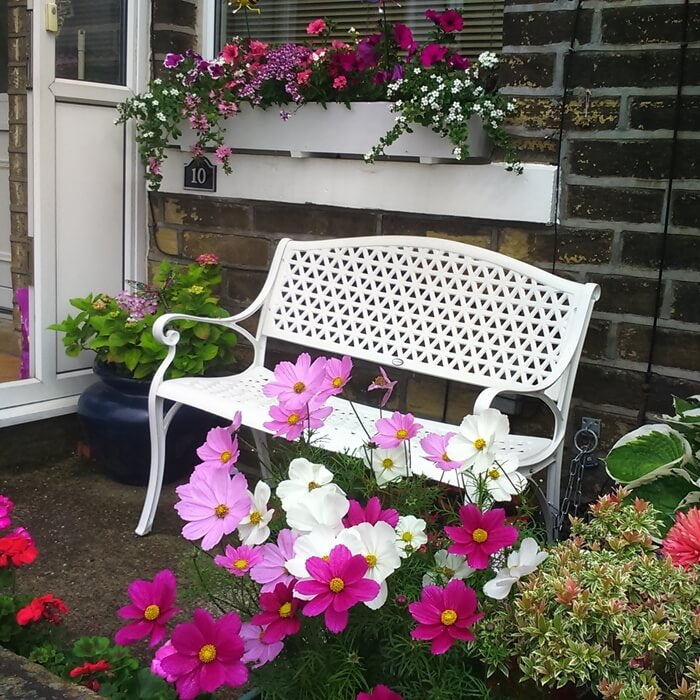 Banc July