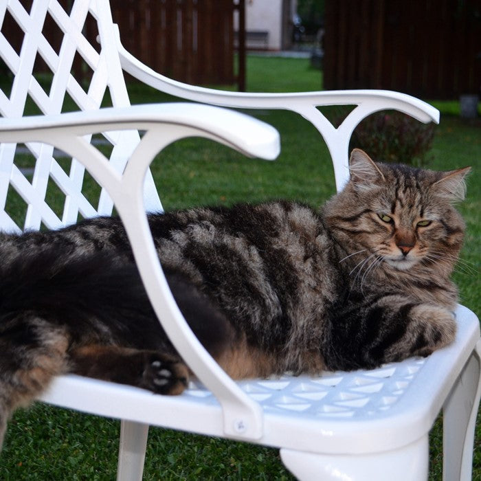 Chaise Rose - Blanc