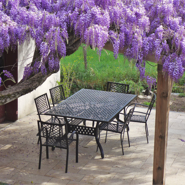 Table Sophia (ensemble 6 personnes)