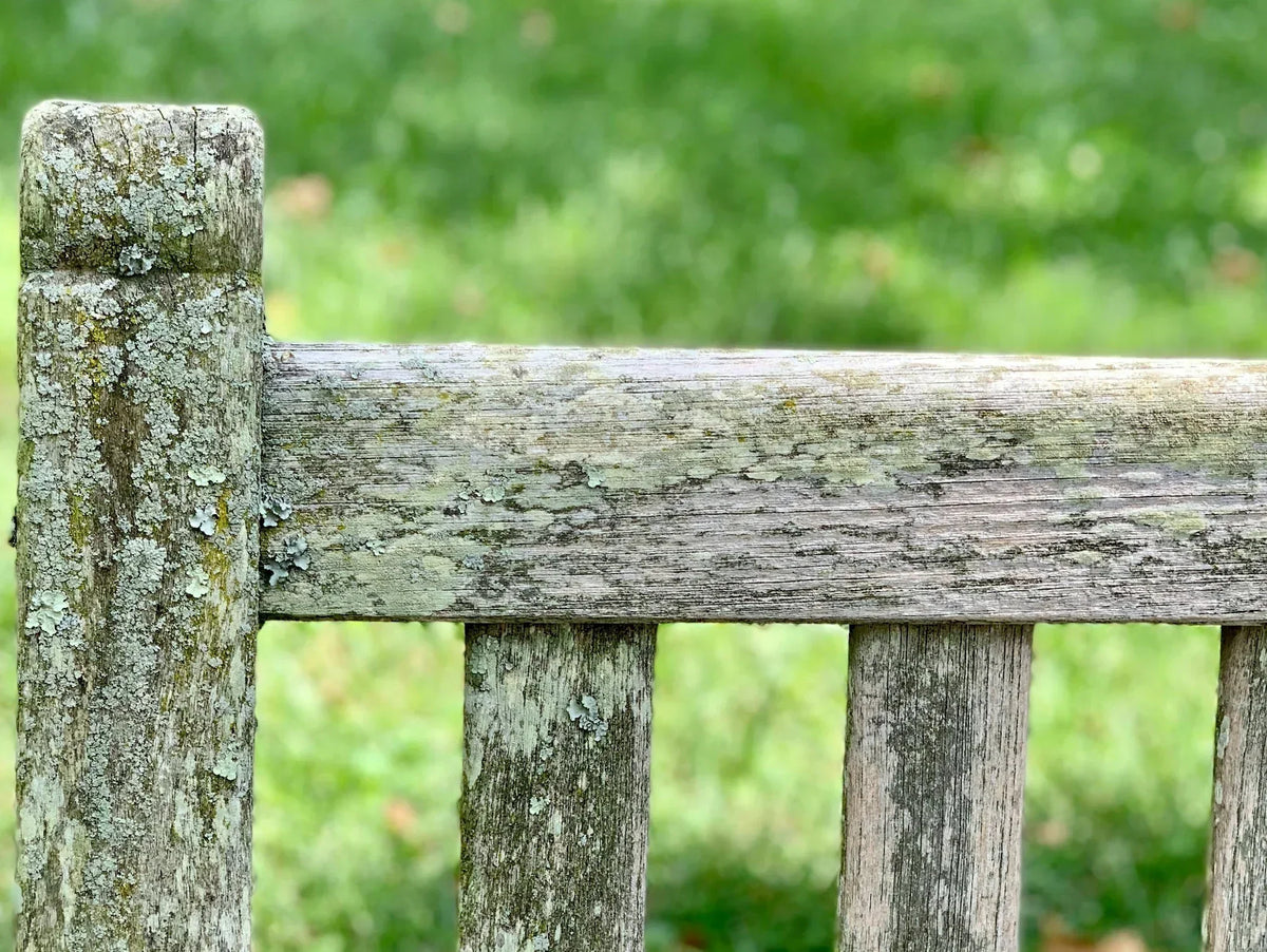 Wie kann man Grünalgen von Gartenmöbeln entfernen?