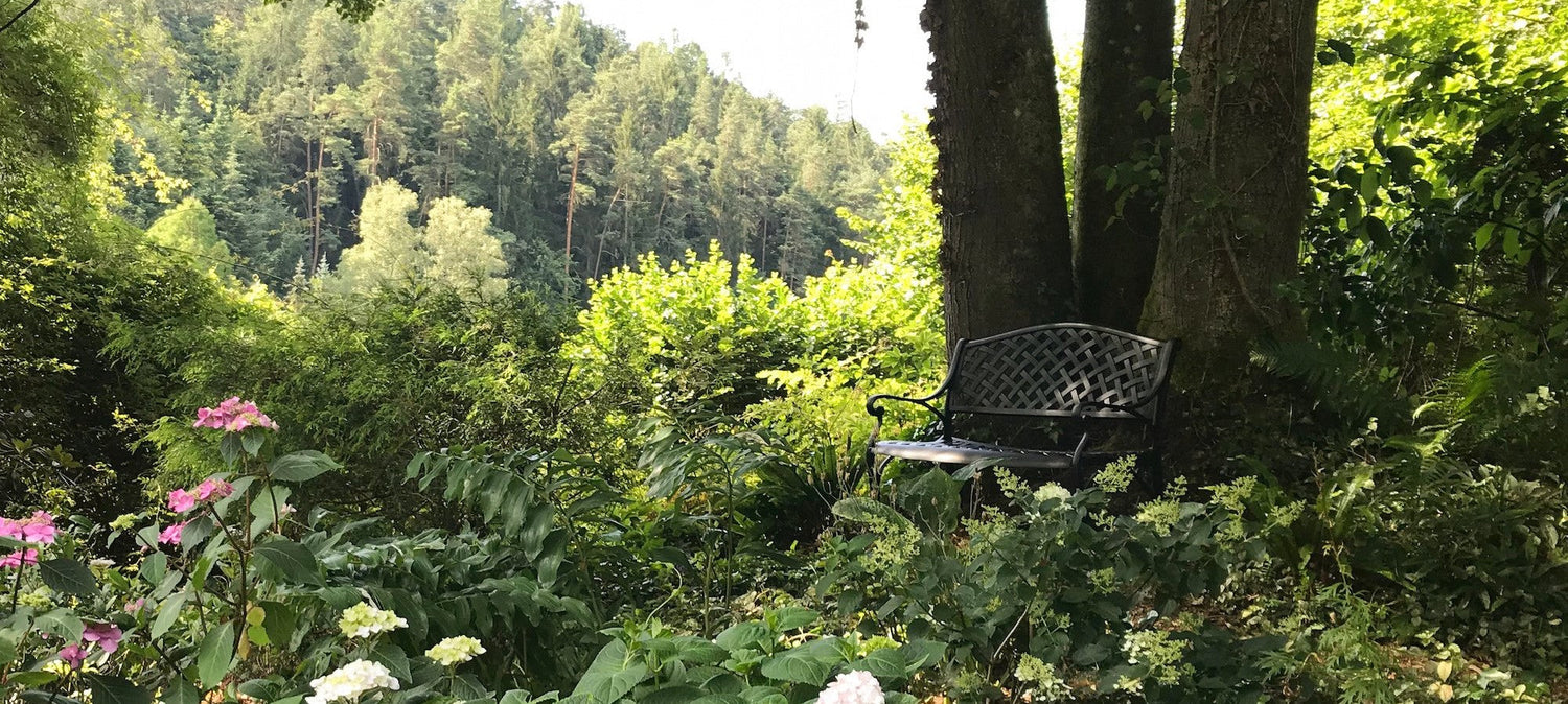 Nettoyer la sève des arbres sur les meubles d’extérieur.