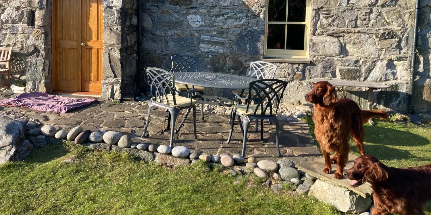 Salon de jardin et chiens