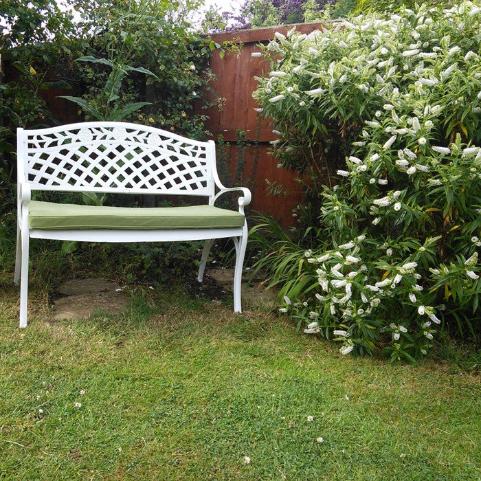 Banc Rose