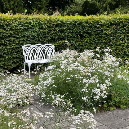 Banc April