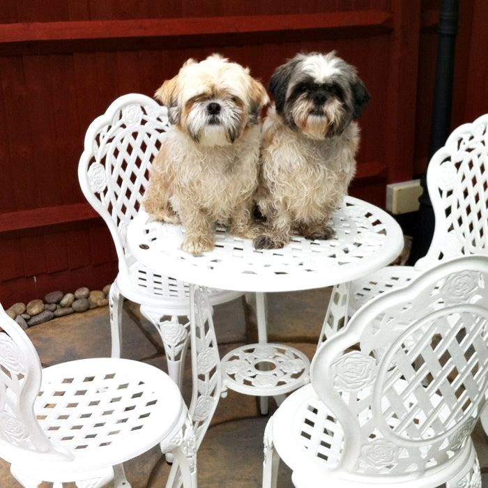Ensemble bistrot ROSE (Table et 2 chaises)